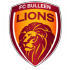 Bulleen Lions