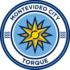 Torque