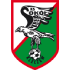 Halcón De Garrapatas