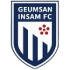 Geumsan Insam