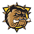 Bulldogs de Brantford