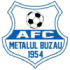 Buzau Metal