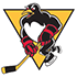 Pingüinos de Wilkes-Barre/Scranton