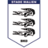 Estadio de Malí