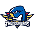 Thunderbirds de Springfield